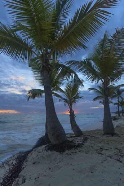 Soluppgång på den tropiska stranden. — Stockfoto