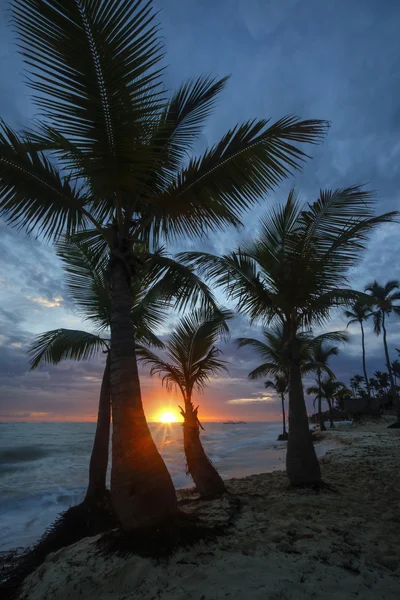 Восход солнца на тропическом пляже . — стоковое фото