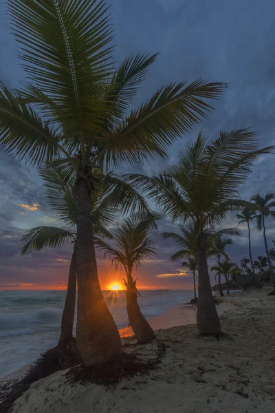 Lever de soleil sur la plage tropicale . — Photo