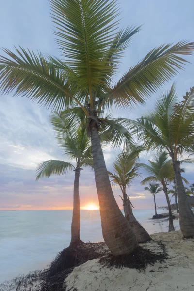 Nascer do sol na praia tropical . — Fotografia de Stock