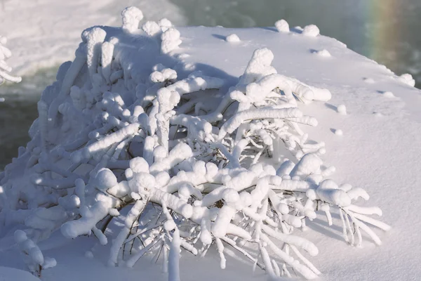 Winter landscape — Stock Photo, Image