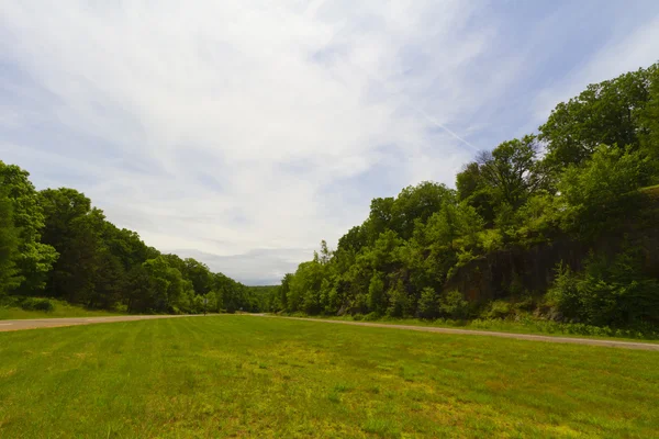 Paisaje herboso . — Foto de Stock