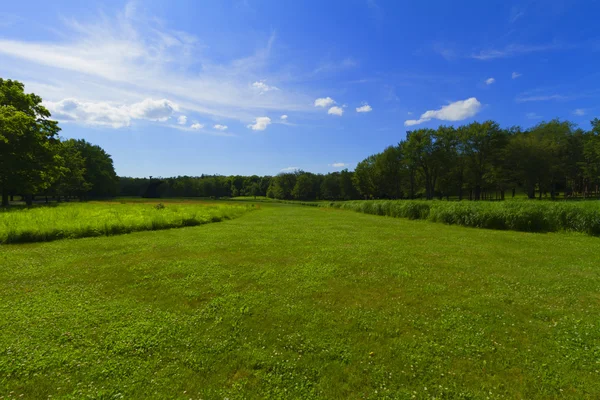 Met gras begroeid landschap. — Stockfoto