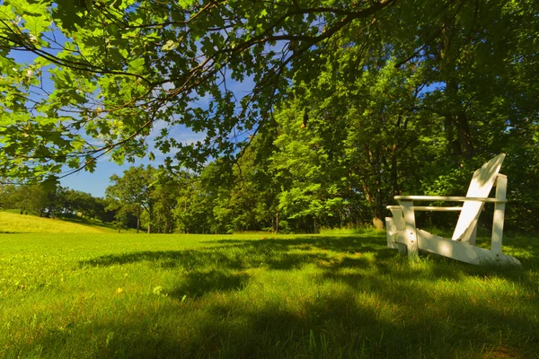 Träd landskap. — Stockfoto