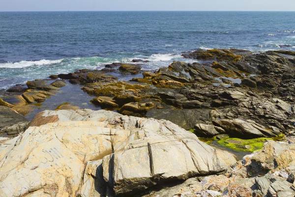 ROTSENSTRANDEN. — Stockfoto