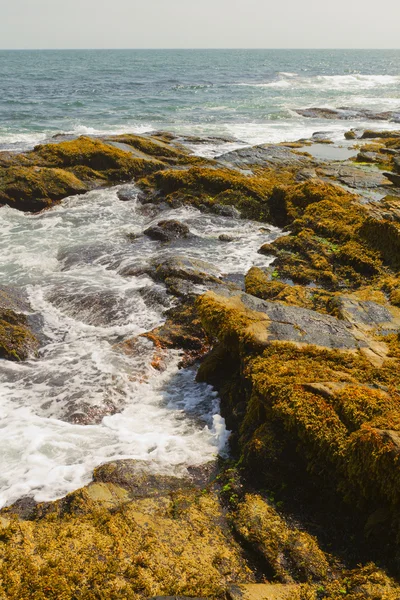 ROTSENSTRANDEN. — Stockfoto