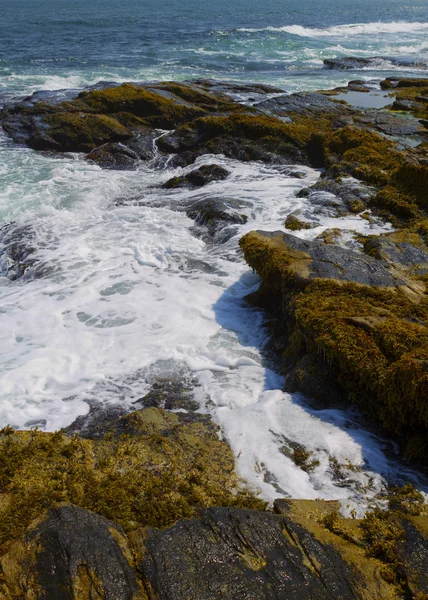 ロッキー海岸. — ストック写真