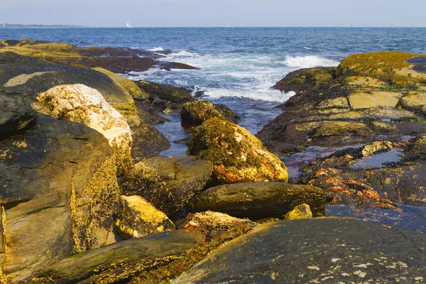 ROTSENSTRANDEN. — Stockfoto