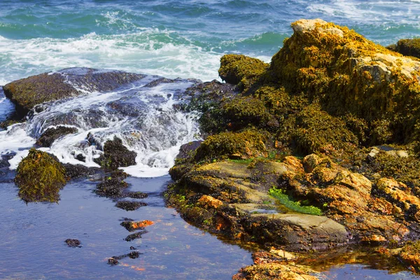 ROTSENSTRANDEN. — Stockfoto