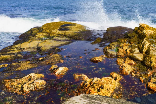 ロッキー海岸. — ストック写真