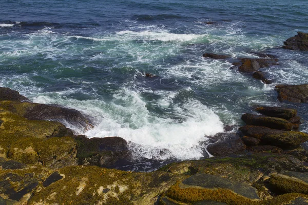 Rocky shore. — Stock Photo, Image