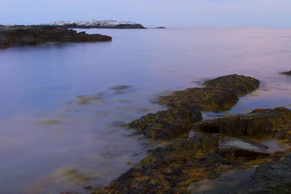 Sunset on a rocky shore. — Stock Photo, Image