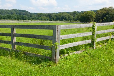 tarım alanlarının görünümü.