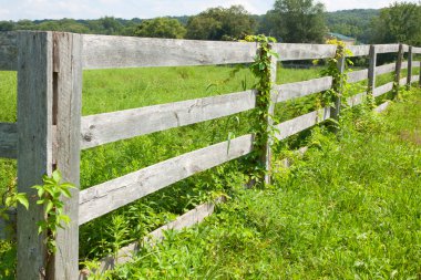 tarım alanlarının görünümü.
