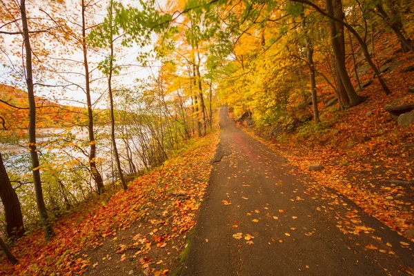 Jesień krajobraz. — Zdjęcie stockowe