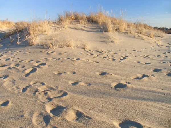 Spiaggia di sabbia . — Foto Stock