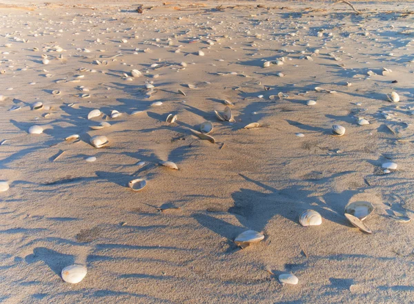 Praia de areia . — Fotografia de Stock