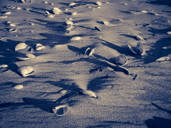 Spiaggia di sabbia . — Foto Stock