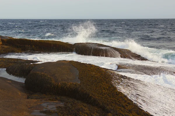 ロッキー海岸. — ストック写真