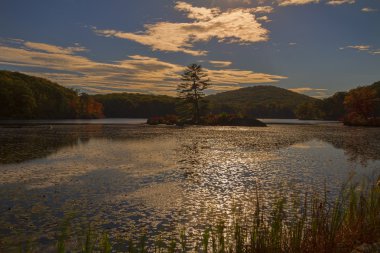 Orman göl günbatımı.
