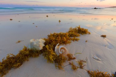 Karayip sahilde günbatımı.