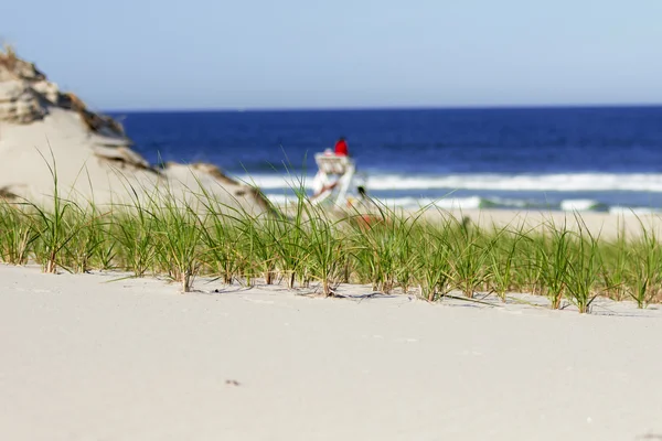 職務上のホット晴れた日のビーチのライフ セーバー. — ストック写真