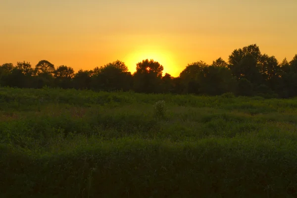 夕暮れの草原風景. — ストック写真