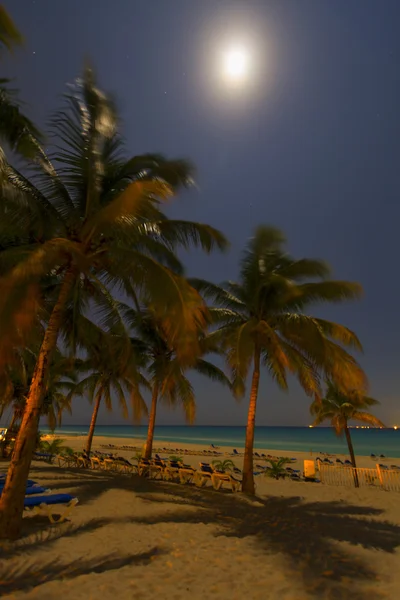 Coucher de soleil sur la plage des Caraïbes . — Photo