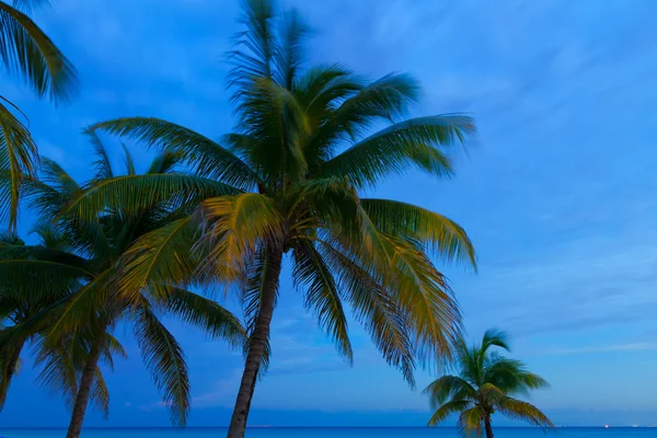 Karayip sahilde günbatımı. — Stok fotoğraf