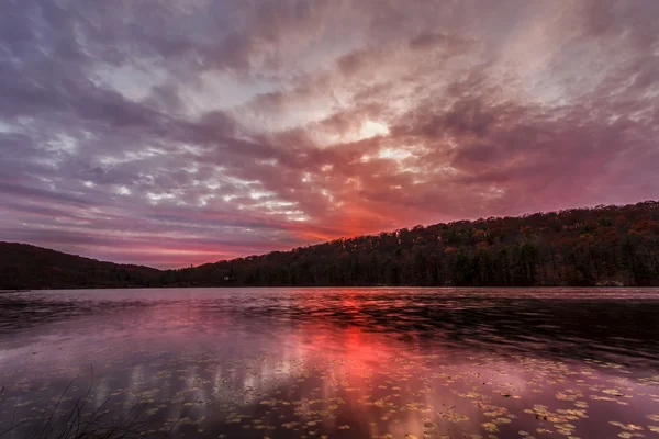 Tramonto sul lago della foresta . — Foto Stock