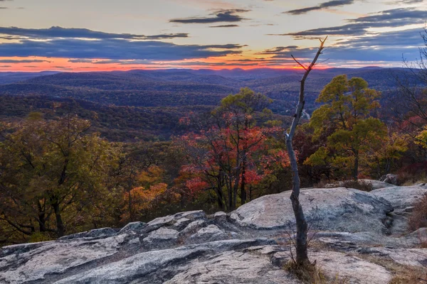 Paisagem florestal ao pôr do sol . — Fotografia de Stock