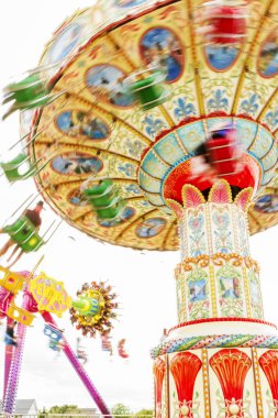 Renkli atlı karınca.