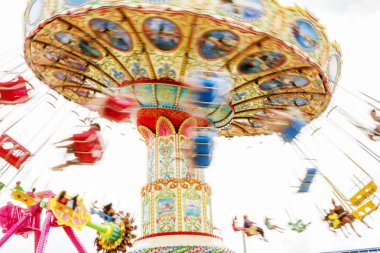 Renkli atlı karınca.