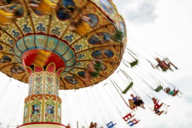 Renkli atlı karınca.