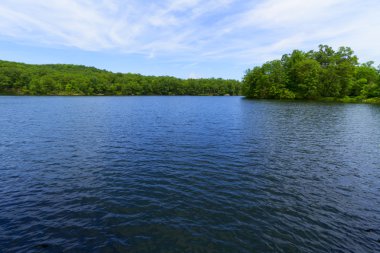 Orman göl günbatımı.