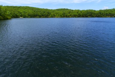 Orman göl günbatımı.