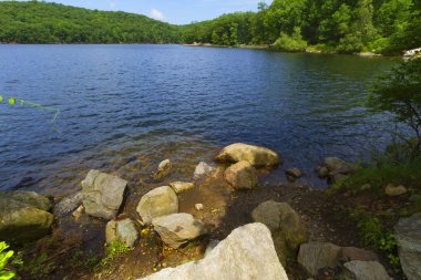 Orman göl günbatımı.