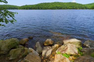 Orman göl günbatımı.