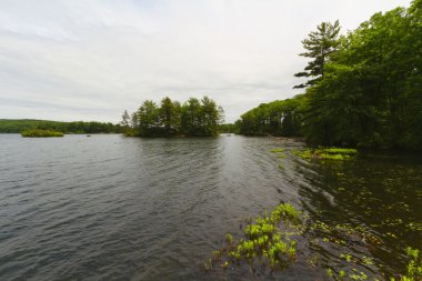 Orman göl günbatımı.