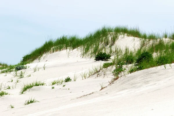 Weiße Sanddünen mit grünem Gras. — Stockfoto