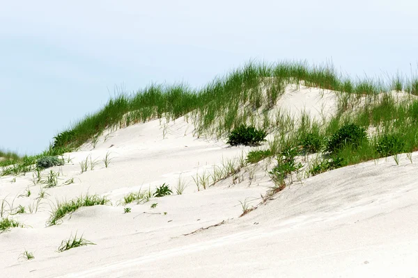 Dunas de arena blanca con hierba verde . —  Fotos de Stock