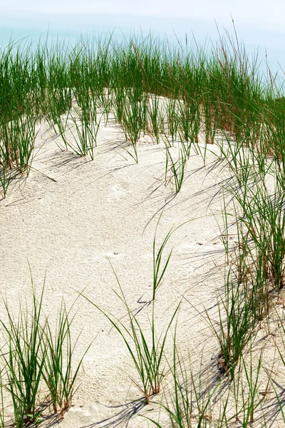 Dunas de arena blanca con hierba verde . —  Fotos de Stock