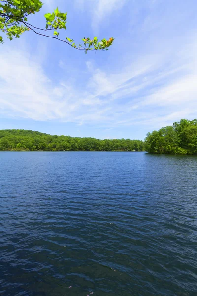 Sunset on the forest lake. — Stock Photo, Image