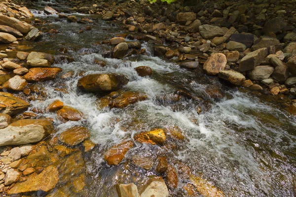 Vista del torrente della foresta che scorre .. — Foto Stock