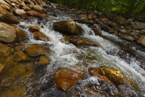 Vista del torrente della foresta che scorre .. — Foto Stock