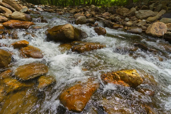 Vista del torrente della foresta che scorre .. — Foto Stock