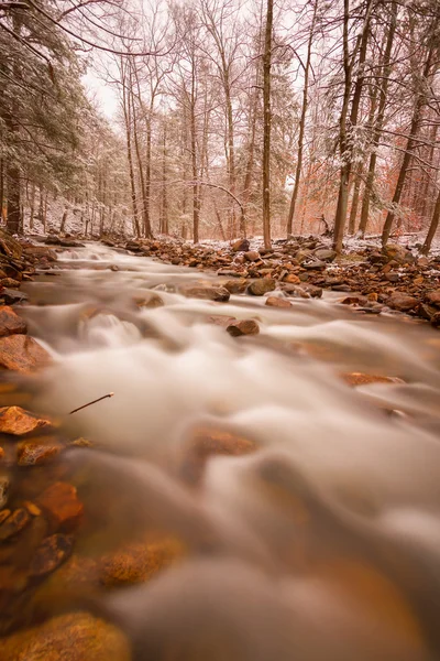 Vista del torrente della foresta che scorre .. — Foto Stock