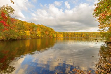 sonbahar manzarası.