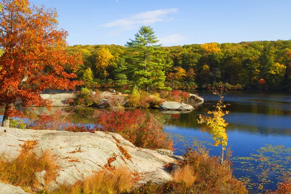 Fall landscape. — Stock Photo, Image