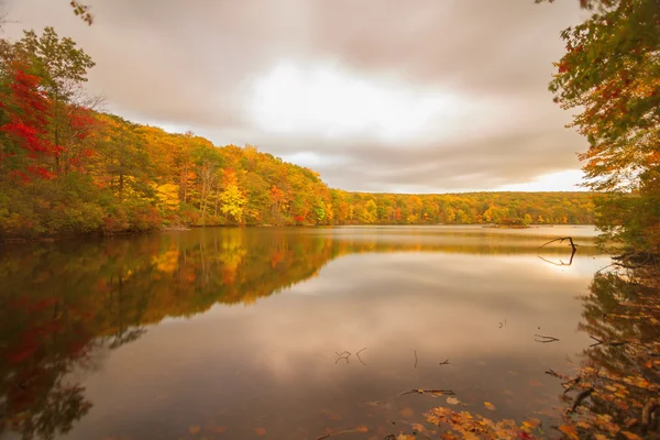 sonbahar manzarası.